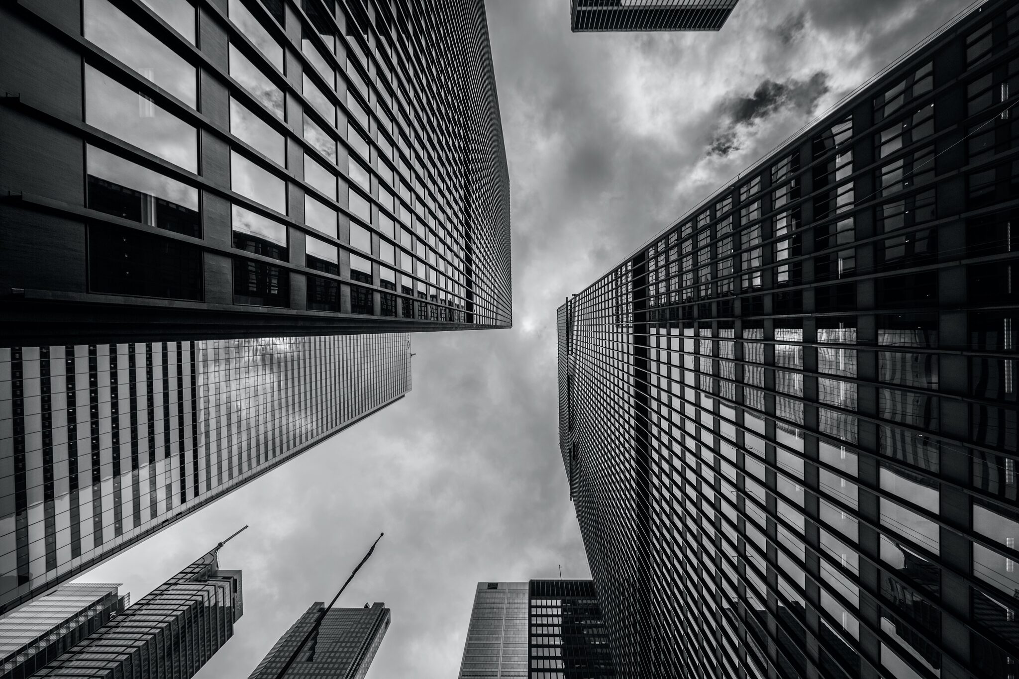 Investment Manager